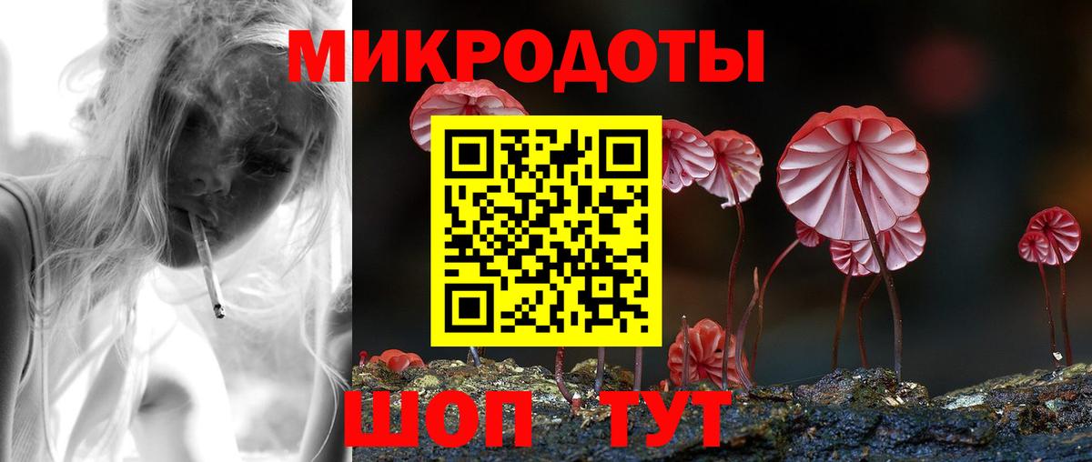 Псилоцибиновые грибы Psilocybe Нефтекамск